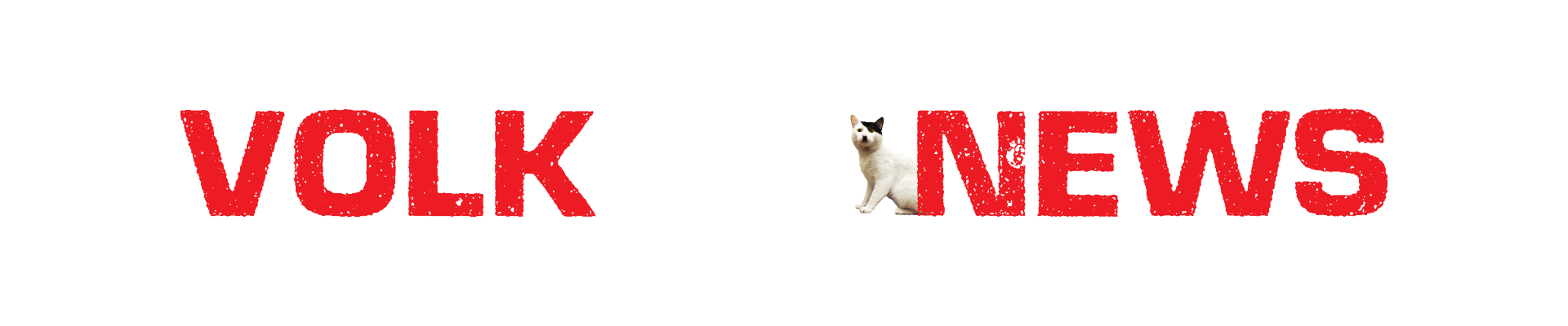 Volk News